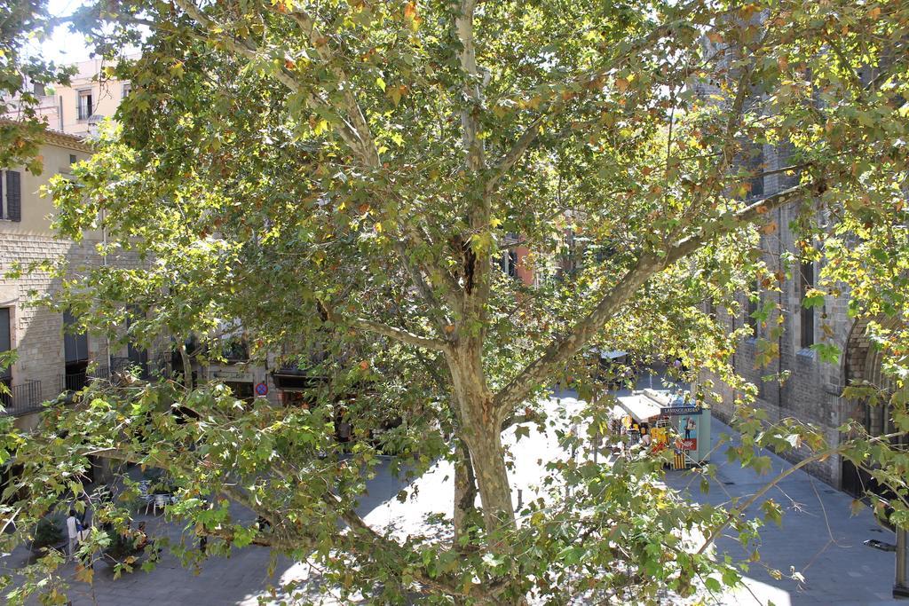 El Jardi Ξενοδοχείο Βαρκελώνη Δωμάτιο φωτογραφία